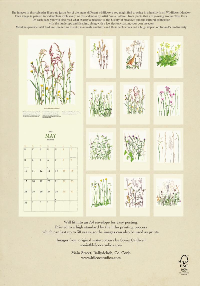 Kilcoe Studios Calendar 2027