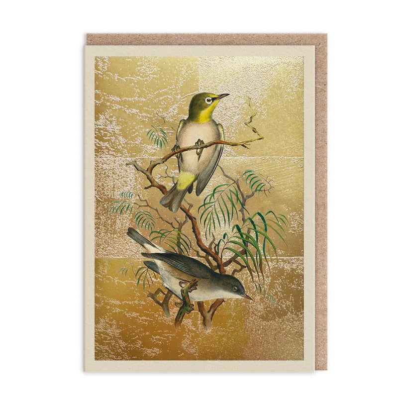 Ohh Deer - Natural World Card - Heughlin's White-Eye