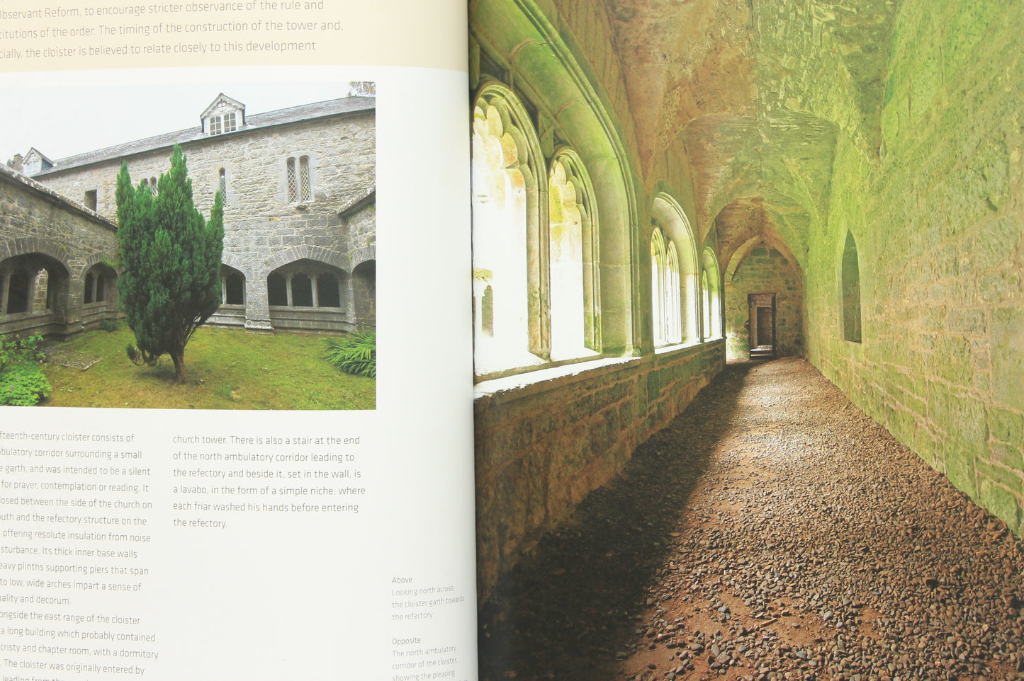 Adare - The Augustinian Friary & St. Nicholas Church