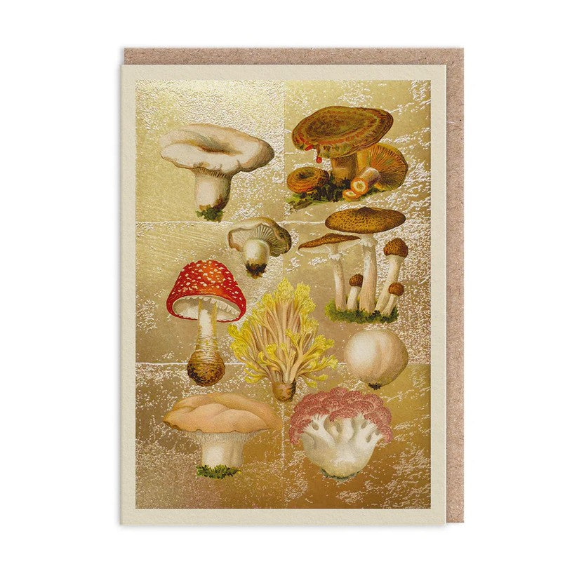 Ohh Deer - Natural World Card - Fungi
