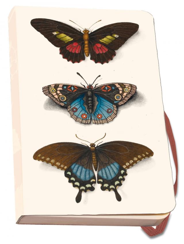 Notebook softcover A6: Butterflies, Joseph Jakob von Plenck, The Fitzwilliam Museum