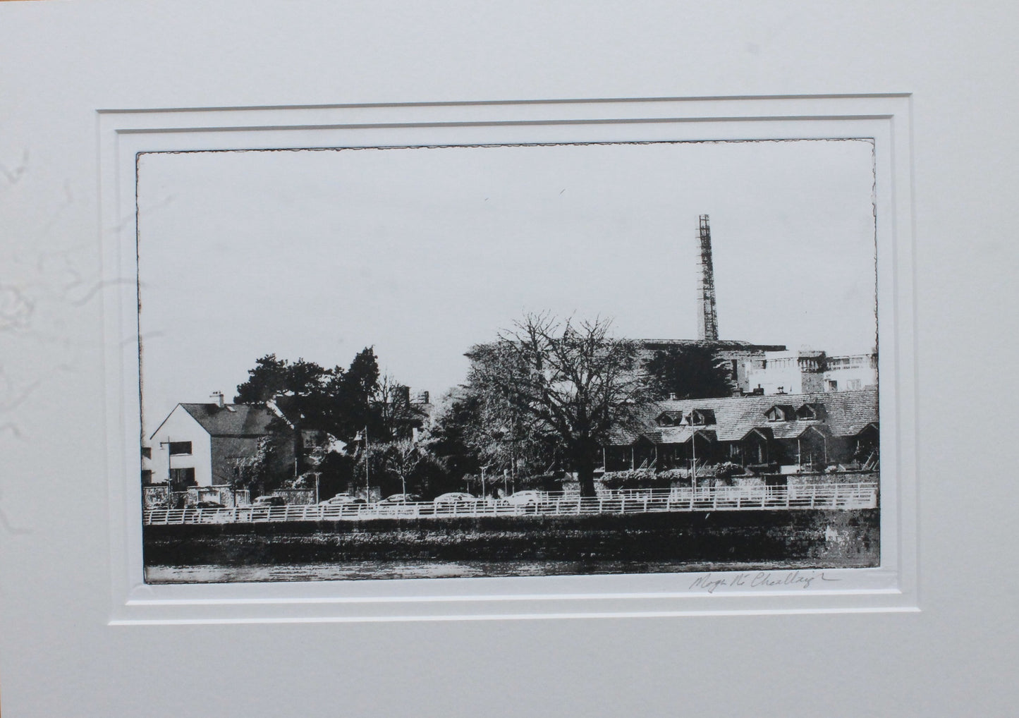 Cleeves/O'Callaghan Strand, Limerick by Moya Ni Cheallaigh