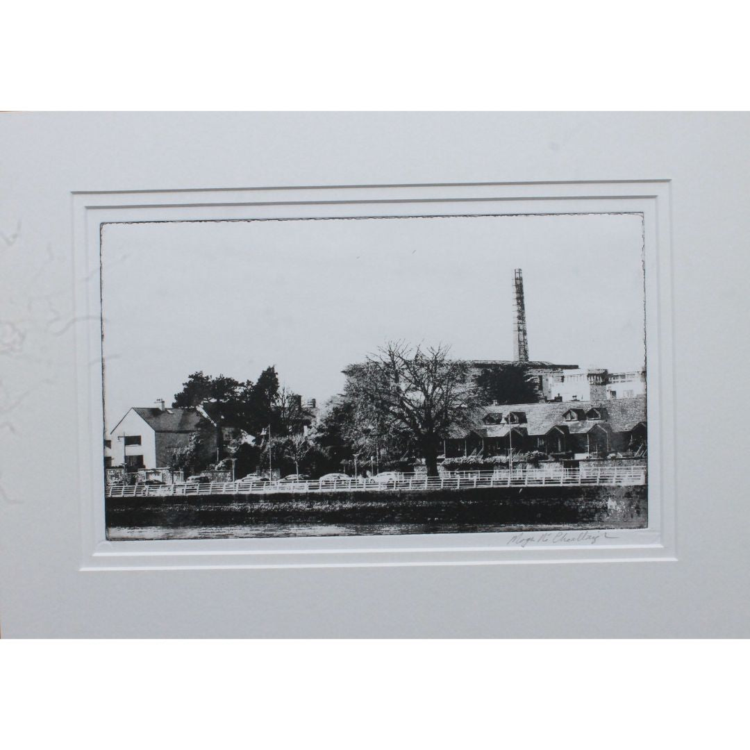 Cleeves/O'Callaghan Strand, Limerick by Moya Ni Cheallaigh