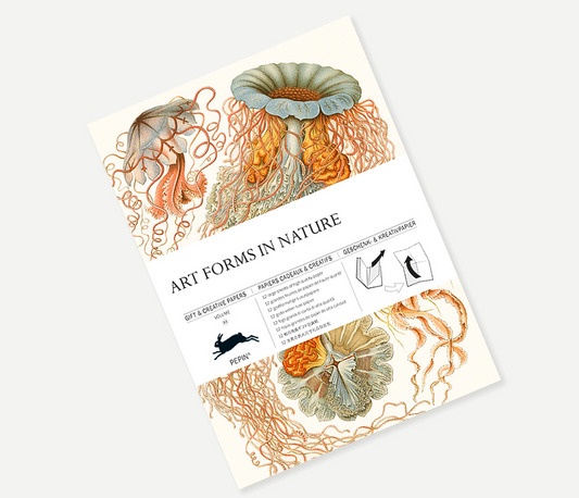 Art Forms in Nature Gift & Creative Paper Book