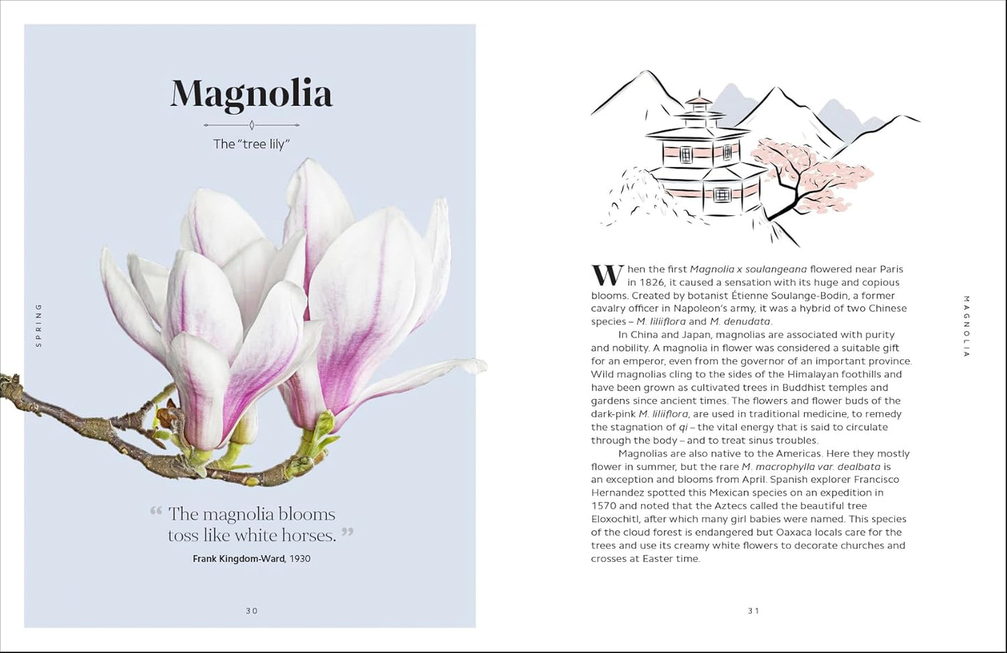 The Secret Language of Flowers