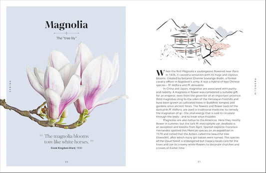 The Secret Language of Flowers