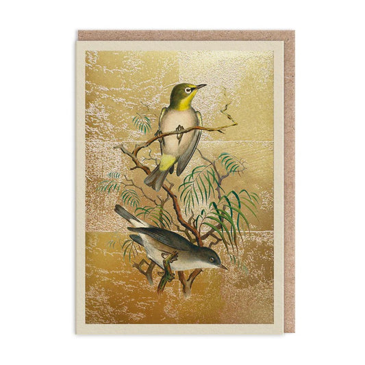 Ohh Deer - Natural World Card - Heughlin's White-Eye