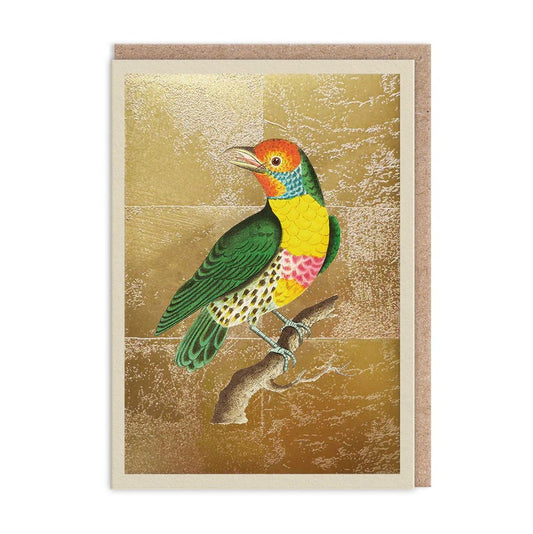 Ohh Deer - Natural World Card - Lemon-Throated Barbet
