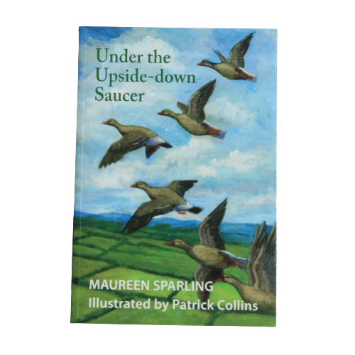 Under the Upside-down Saucer - Maureen Sparling