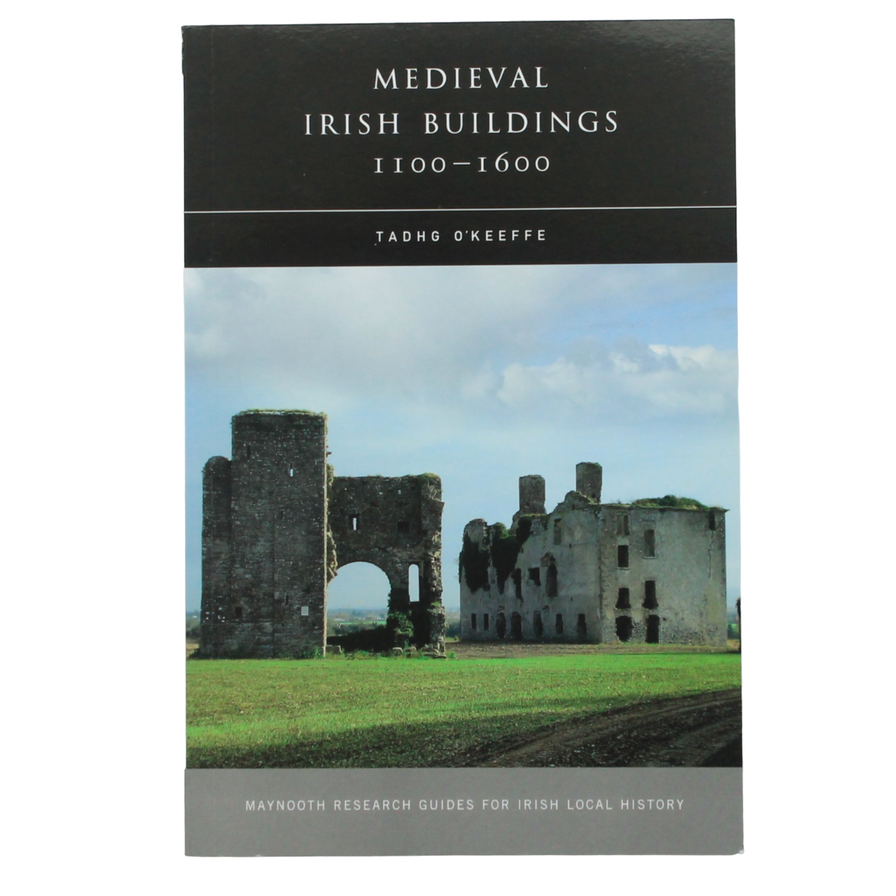Medieval Irish Buildings 1100 - 1600 - Tadhg O'Keeffe