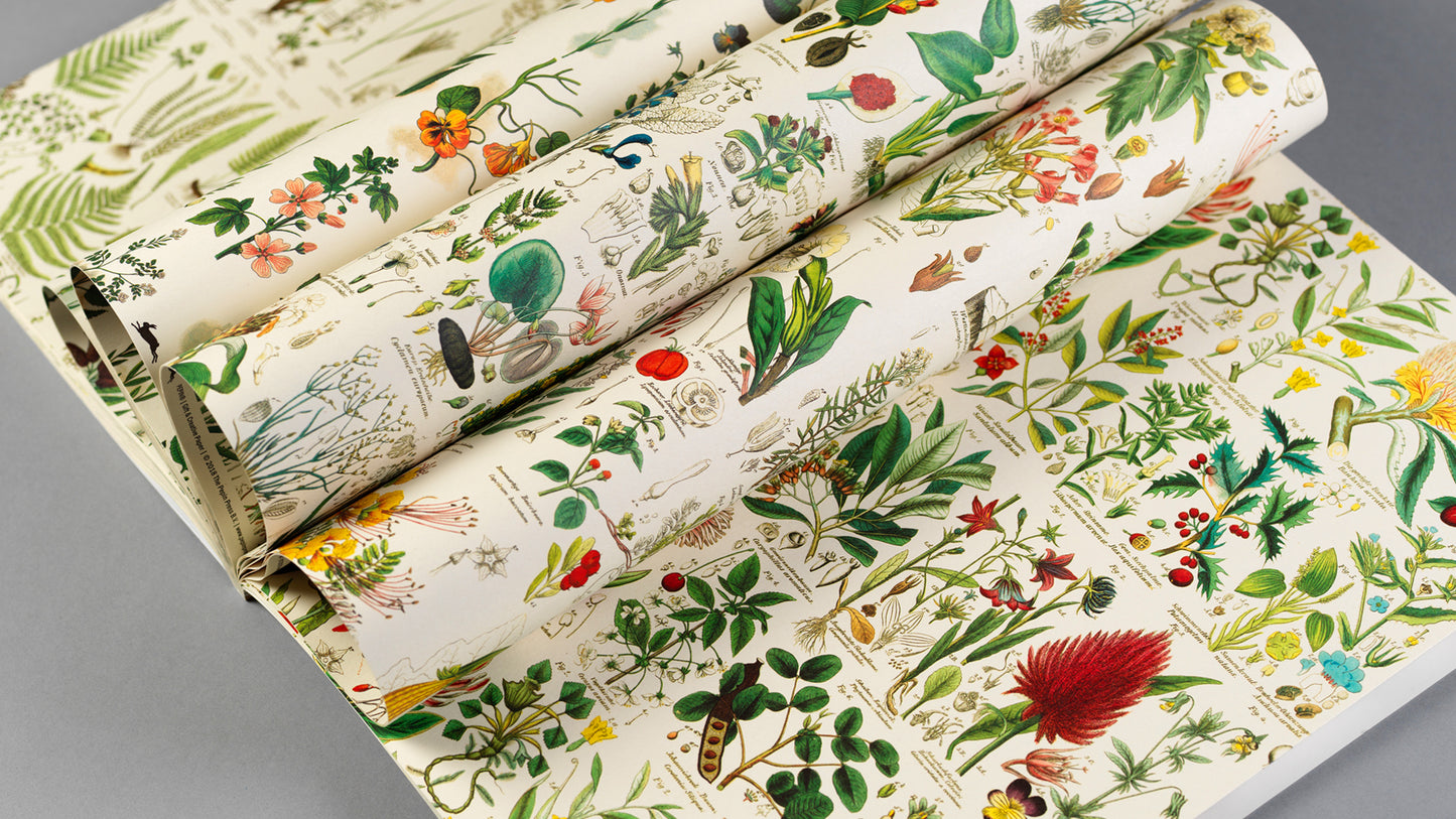 The Pepin Press - Flora Prints & Creative Paper