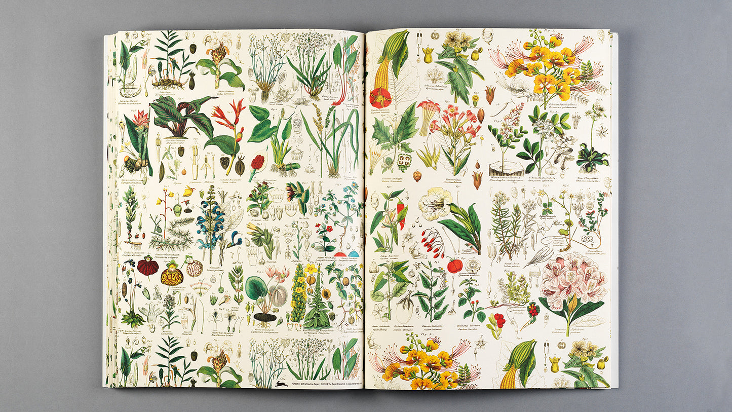 The Pepin Press - Flora Prints & Creative Paper