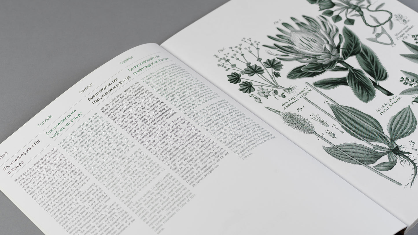 The Pepin Press - Flora Prints & Creative Paper