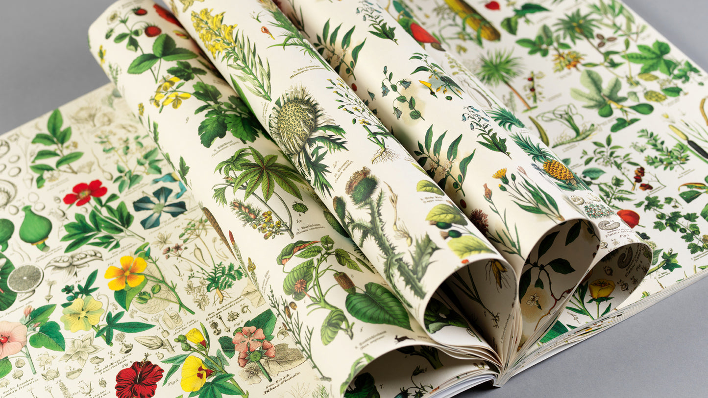 The Pepin Press - Flora Prints & Creative Paper