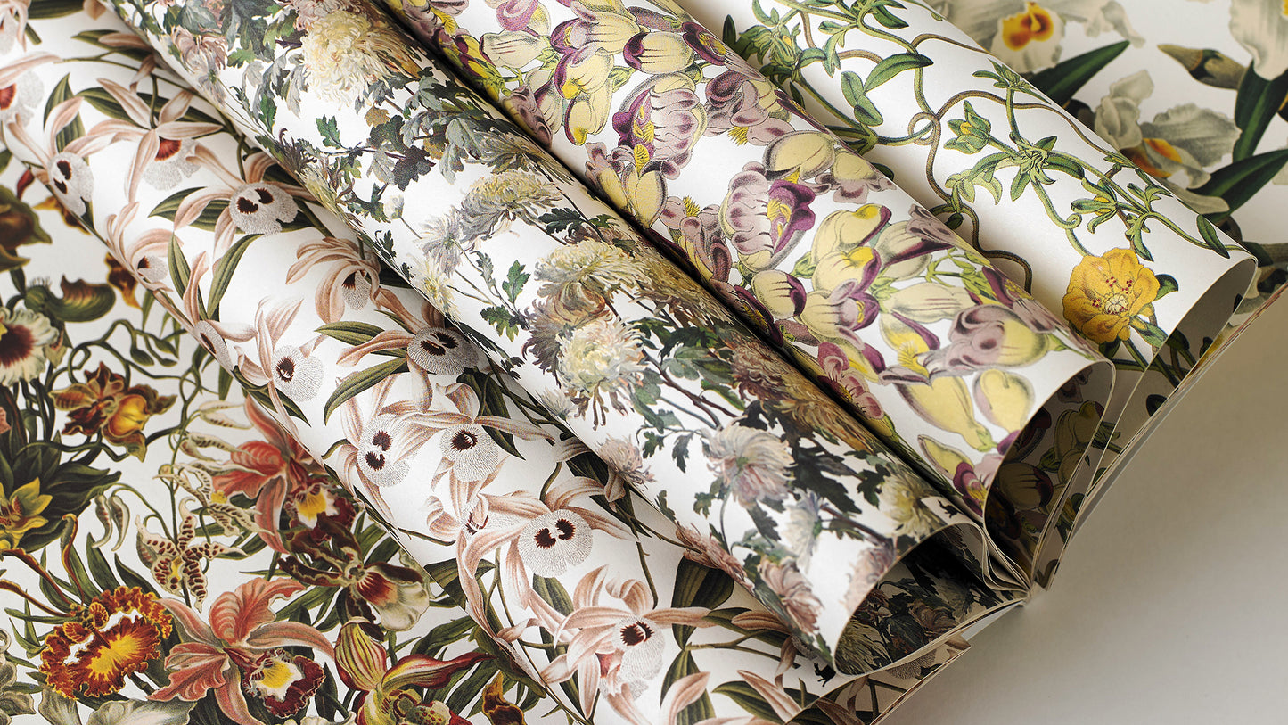 The Pepin Press - Flowers Prints & Creative Paper