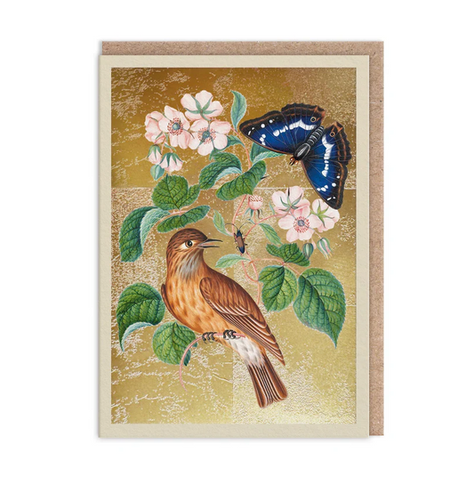 Greeting Card - Wren