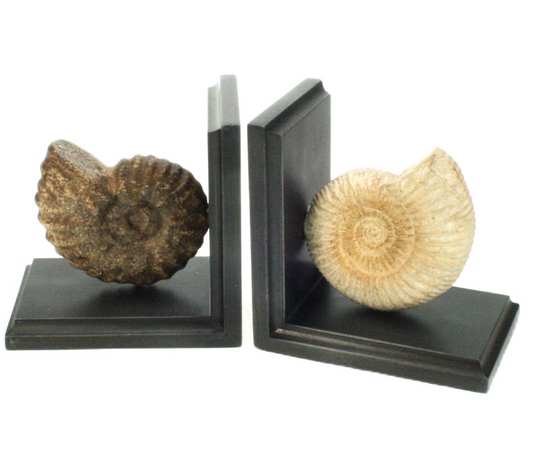 Bookend Set Shell
