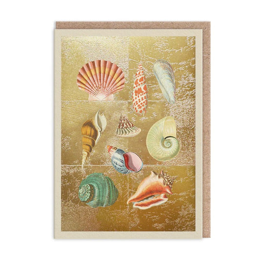 Ohh Deer - Natural World Card - Shells