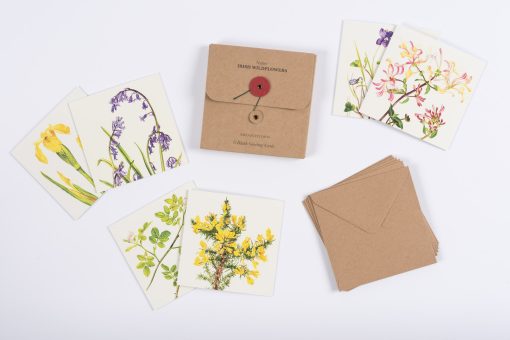 Kilcoe Studios - 6 Blank Greeting Cards - Native Irish Wildflowers