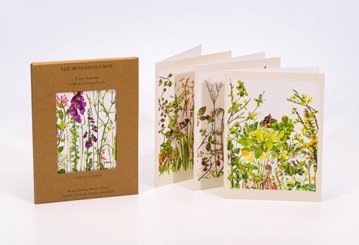 4 Pack of Seasonal Hedgerow Cards - Kilcoe Studios