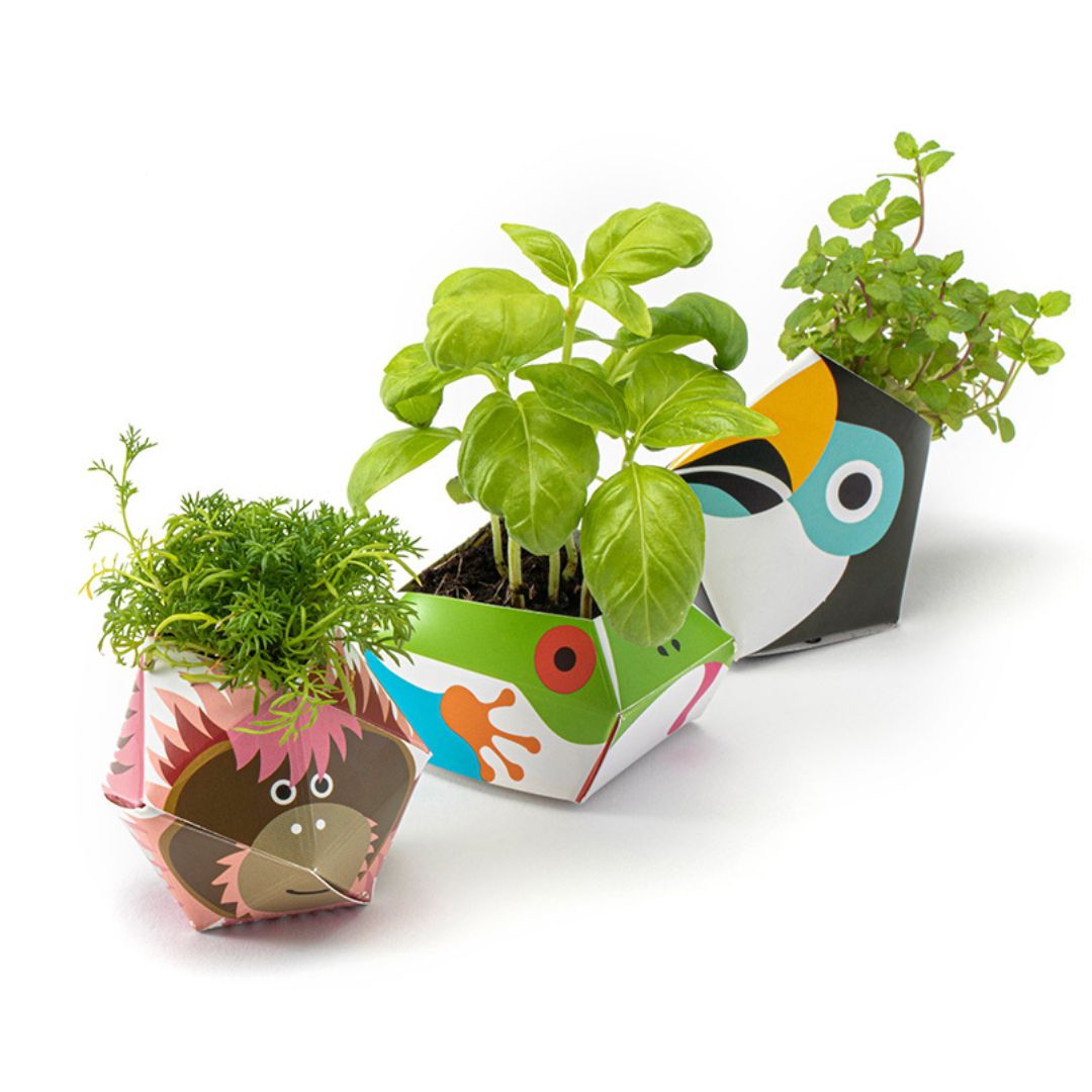 Origami Plant Pot Kit - Oribon Rainforest Animal Collection