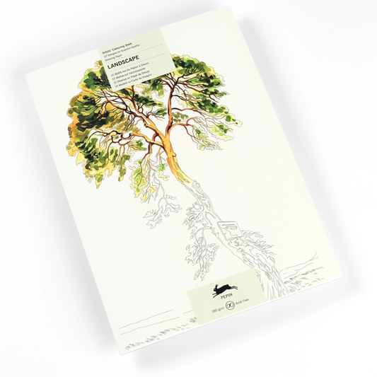 Landscape Artists' Colouring Book