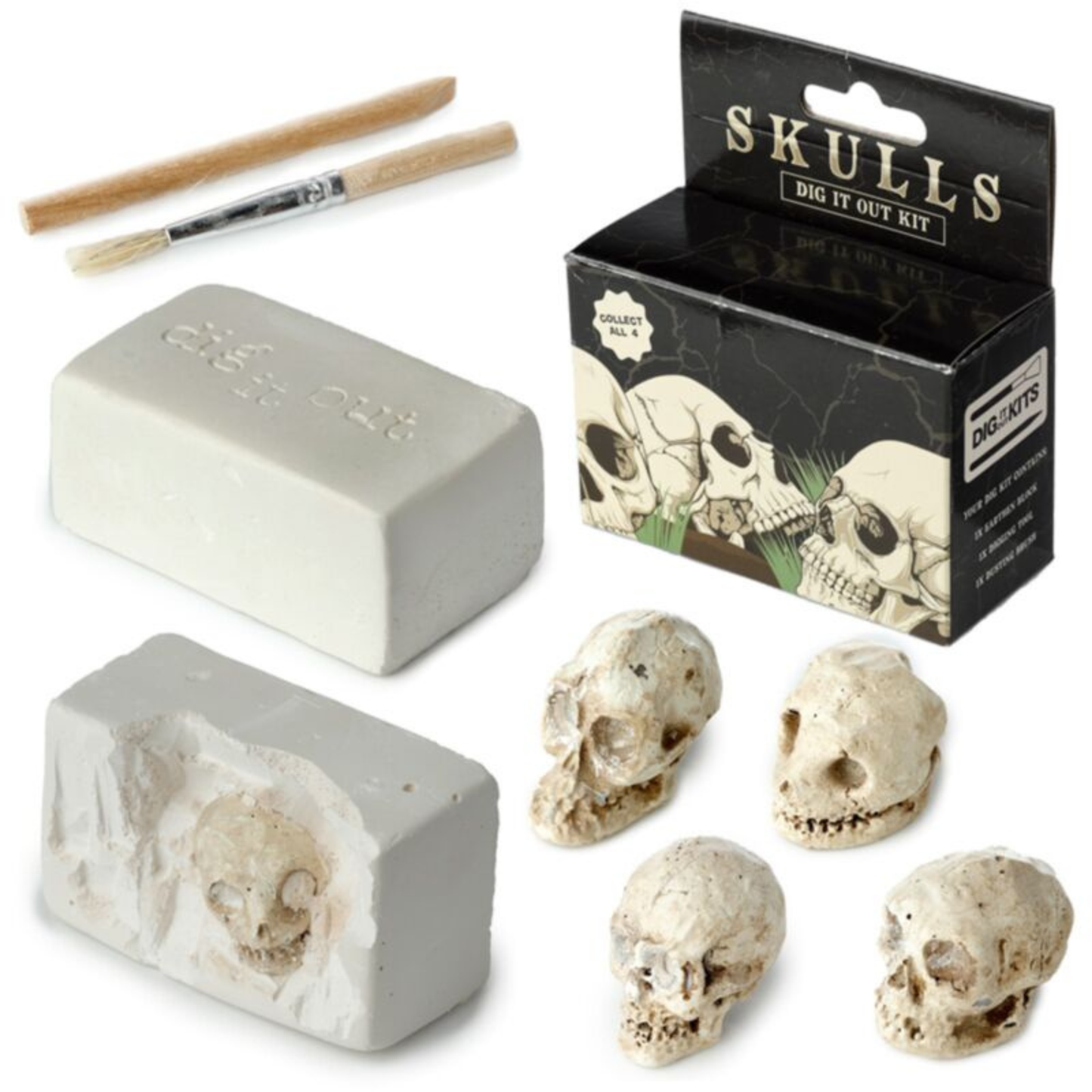 Dig It Out Kit - Skulls