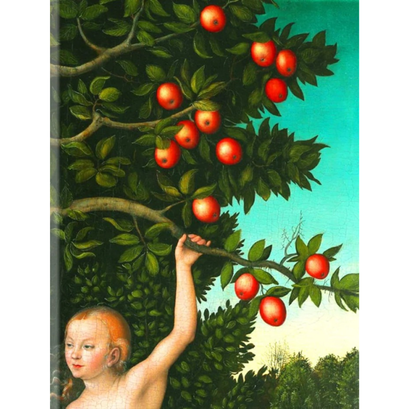 Creation Art Since The  Beginning - John-Paul Stonard