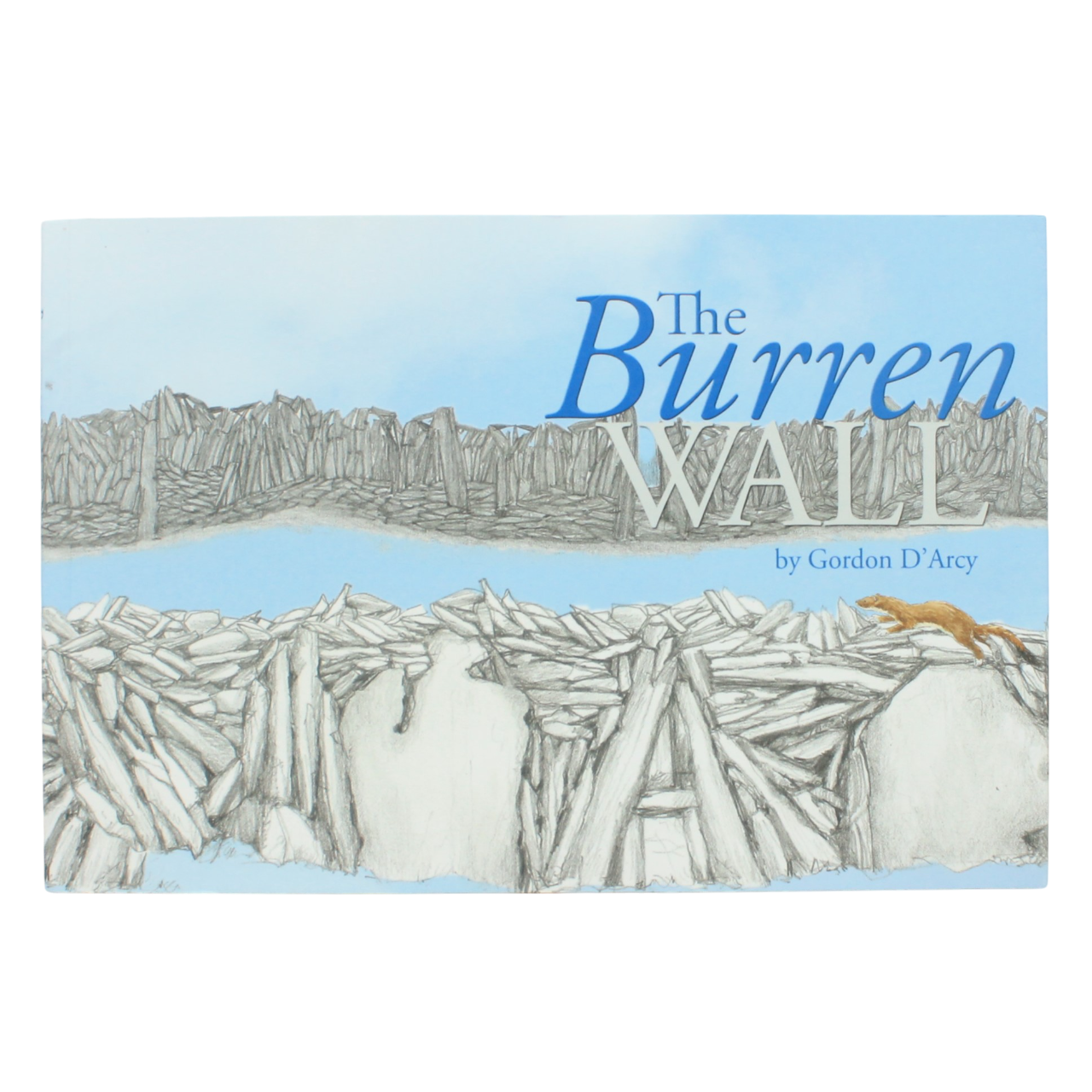 The Burren Wall - Gordon D'Arcy