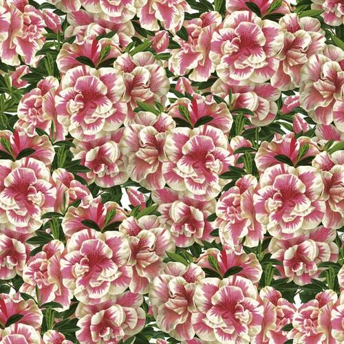 Flowers Prints & Creative Paper