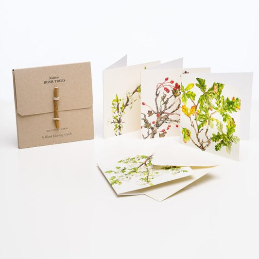 Native Irish Trees - 6 Pack of Greeting Cards - Kilcoe Studios