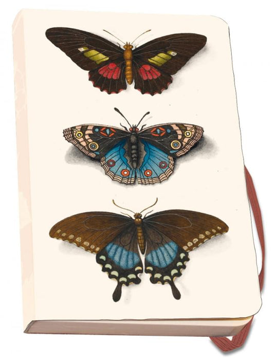 Notebook softcover A6: Butterflies, Joseph Jakob von Plenck, The Fitzwilliam Museum