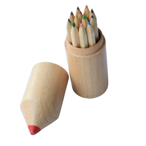 Coloured Pencils in a Pencil Case
