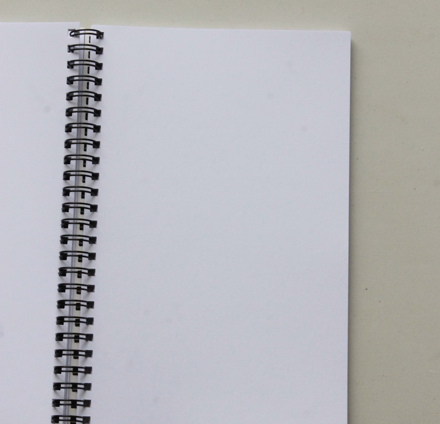Sybil Connolly Blank Page Notebook