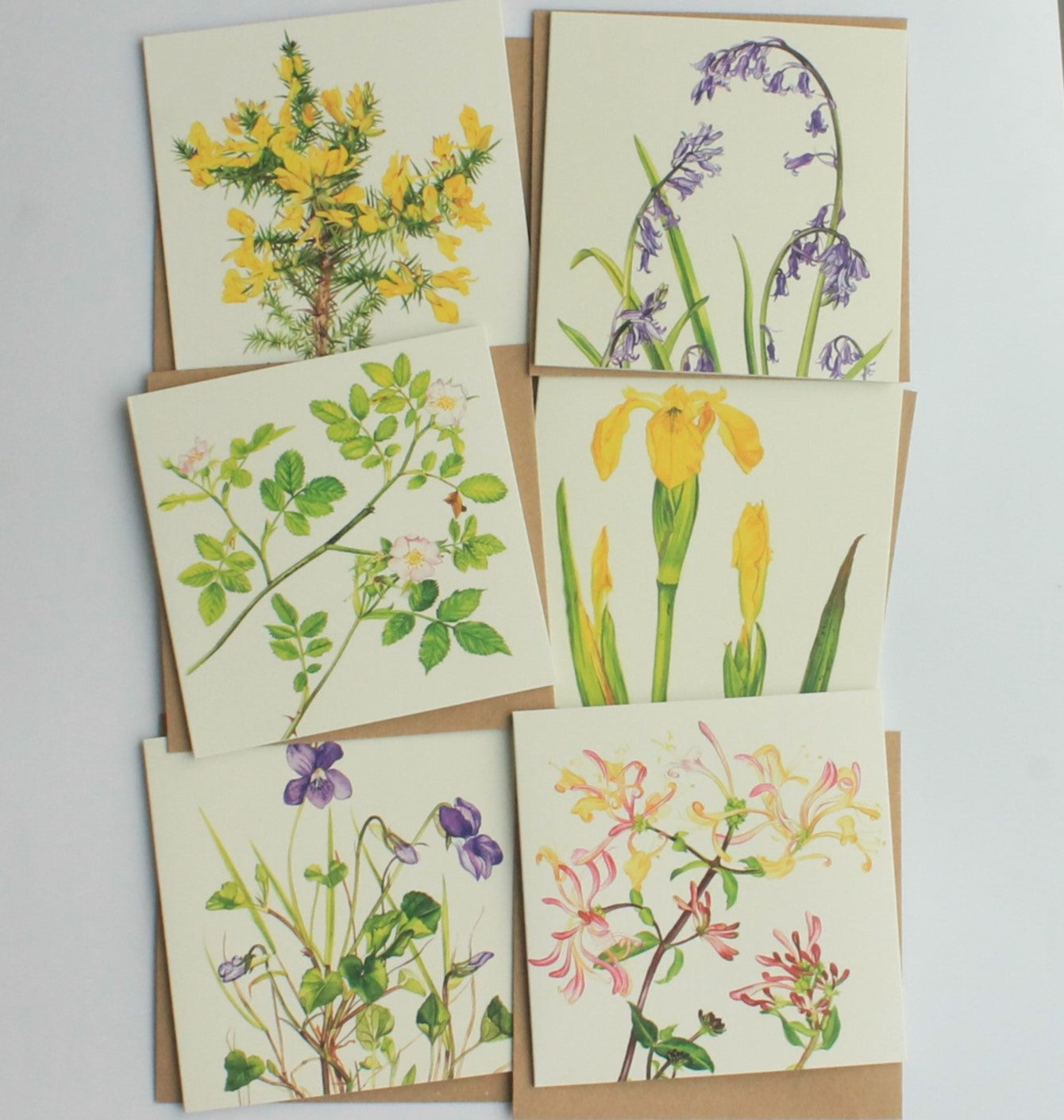 Kilcoe Studios - 6 Blank Greeting Cards - Native Irish Wildflowers